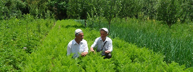 Улучшение уровня жизни сельских пожилых людей и молодежи в Жалал-Абадской области